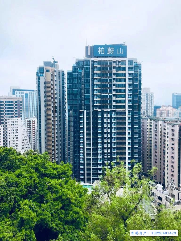 香港房产柏傲山成交2套特色单位  第3张