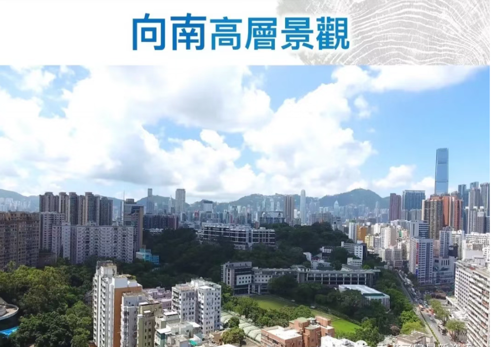香港新楼盘「瑧桦」位于香港九龙何文田名校区 第3张- 瑧桦户型图,位置图 (10)