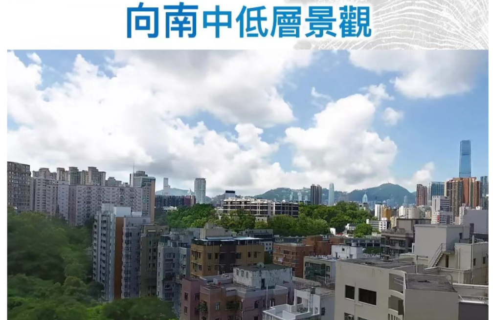 香港新楼盘「瑧桦」位于香港九龙何文田名校区 第4张- 瑧桦户型图,位置图 (9)