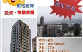 香港新楼盘「晟林」介绍