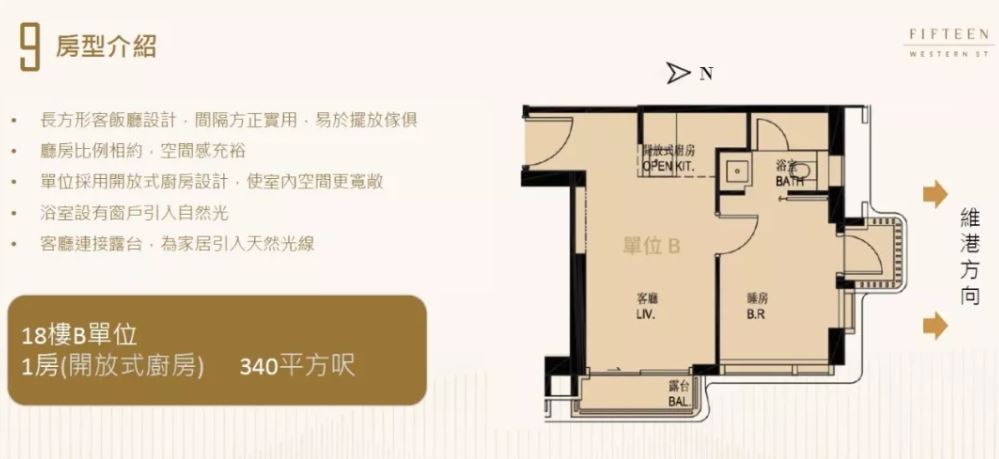 香港港岛区西环西边街15号近香港大学,房价仅6XX万 第4张- 西边街15号 (9)