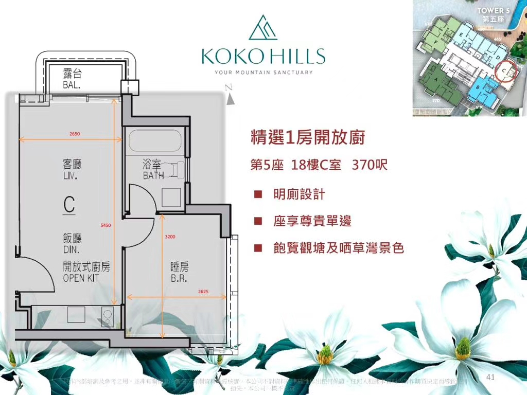 茶果岭KOKO HILLS  第7张