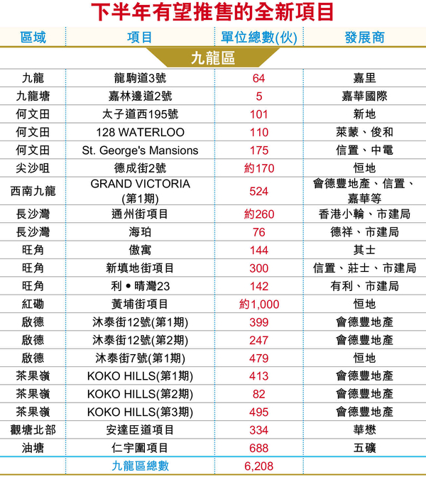 香港下半年可发售一手新楼盘  第2张