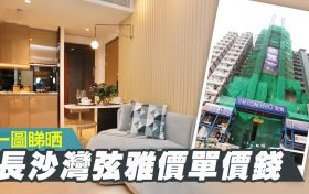 香港房产弦雅首张价单385万元至599万