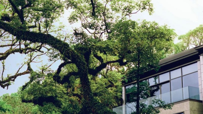 香港九龙塘全新豪宅嘉道理道豪宅ST.GEORGE’S MANSIONS天台特别单位,房价2.6亿
