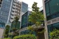 香港房产星凯堤岸、柏傲庄III正待批出预售楼花