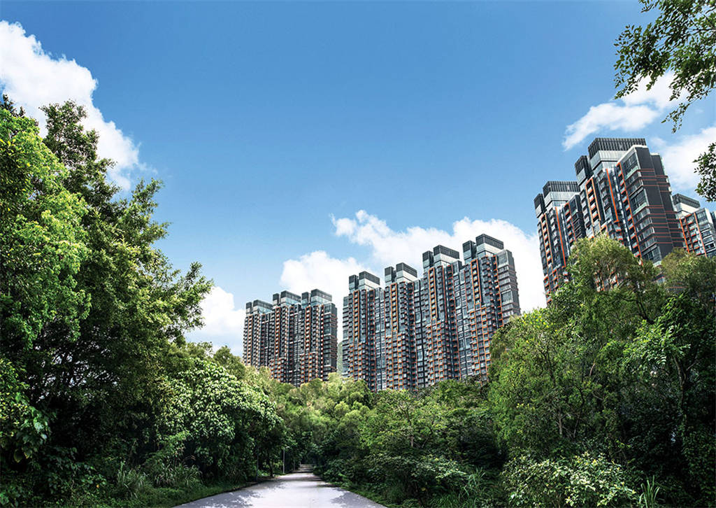 香港一手新楼盘迎海顶层带平台花园户型招标发售 楼盘动态 第1张