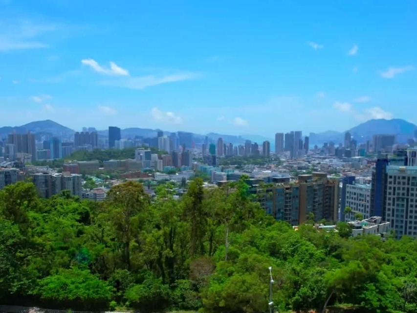香港九龙塘超级豪宅缇外，大平层，院墅招标发售 香港房产新闻 第1张