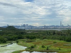 香港湿地公园路1号Wetland Seasons Bay小区实景  第21张