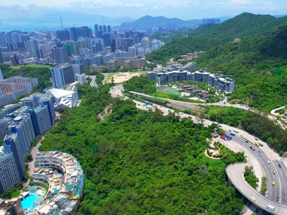 香港九龙塘超级豪宅缇外，大平层，院墅招标发售  第3张