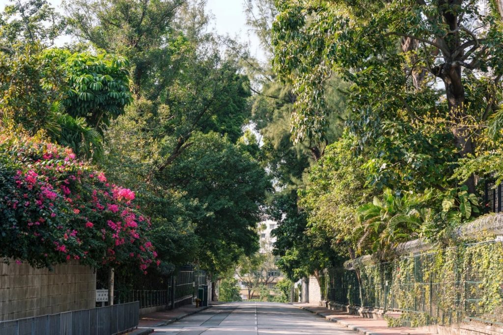 香港九龙豪宅嘉道理道St. George’s Mansions  第5张