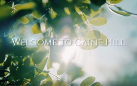 香港新楼盘西营盘及上环坚道73号正式命名CAINE HILL