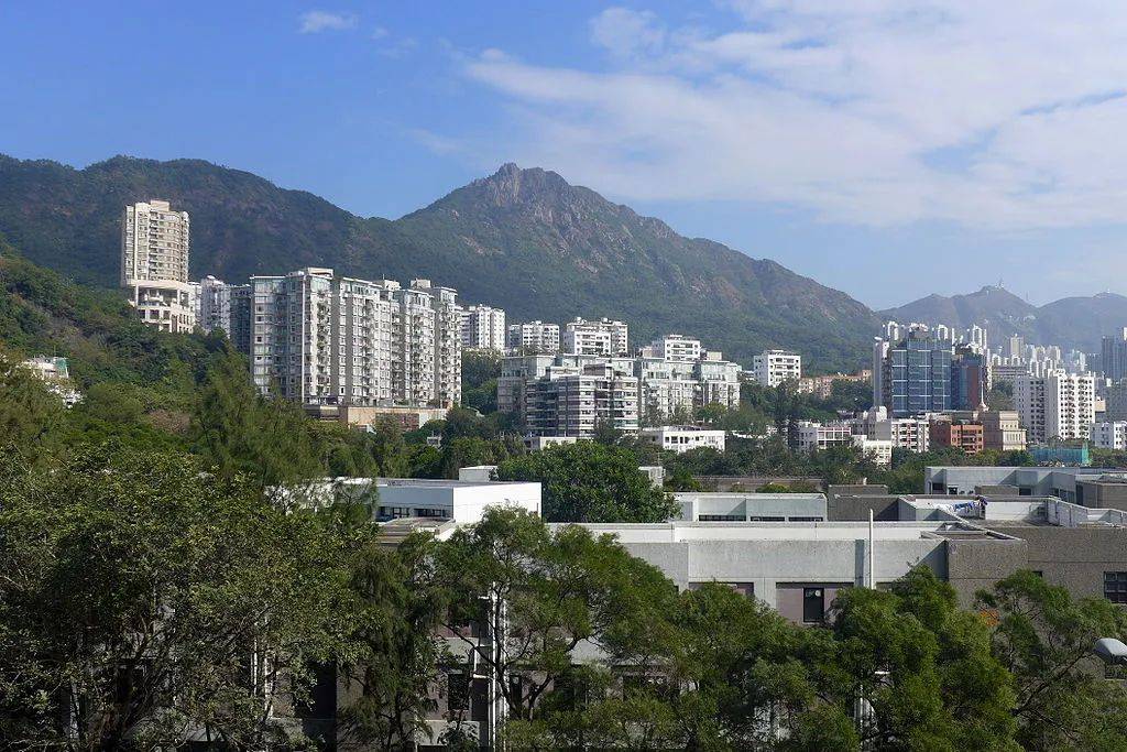 九龙新房