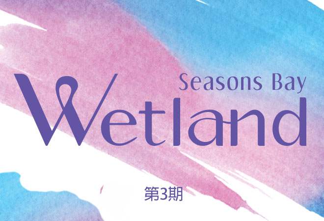 Wetland Seasons Bay第3期