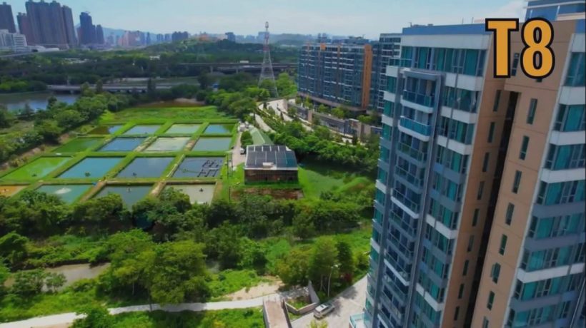 香港元朗新楼盘PARK YOHO Bologna峻峦楼盘项目概况|户型设计|与购房建议