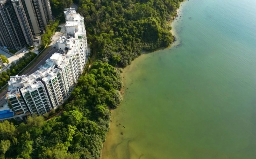 香港新楼盘Silversands代缴印花税，先住后付，两成首期欢迎咨询 香港新楼盘 第1张