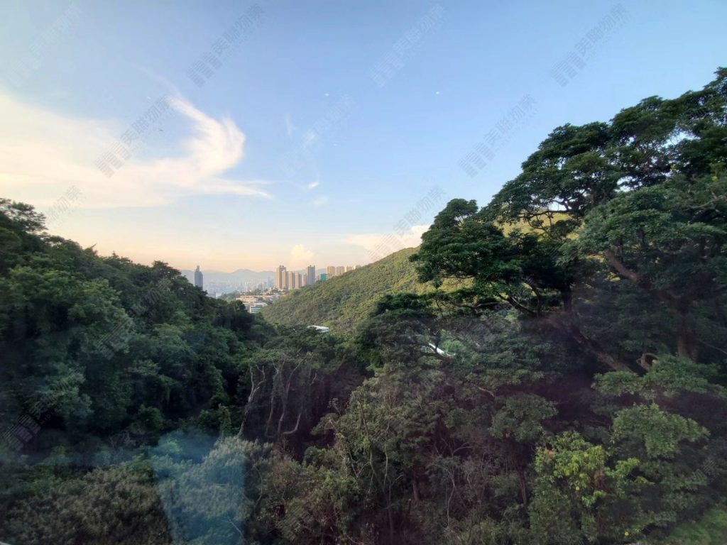 香港山顶施勋道超级豪宅倚峦有22套联排别墅 第3张-