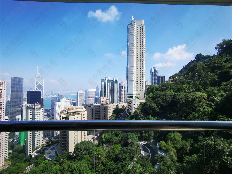 中环/中半山：世纪大厦  第5张