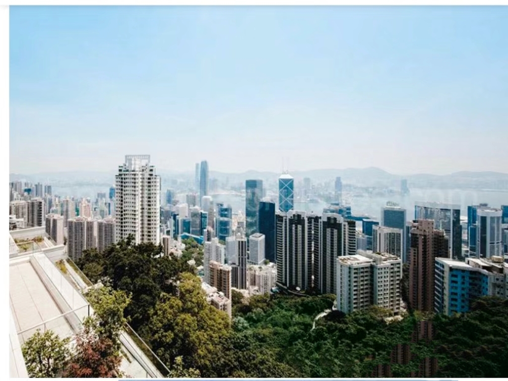 香港山顶白加道31号别墅总价10亿－可售公司 香港二手房 第4张