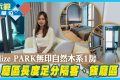 旺角新楼盘ElizePARK小户型精品住宅