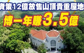 香港港岛山顶中峡道24号顶独立别墅