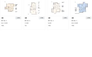 高临户型图  第3张