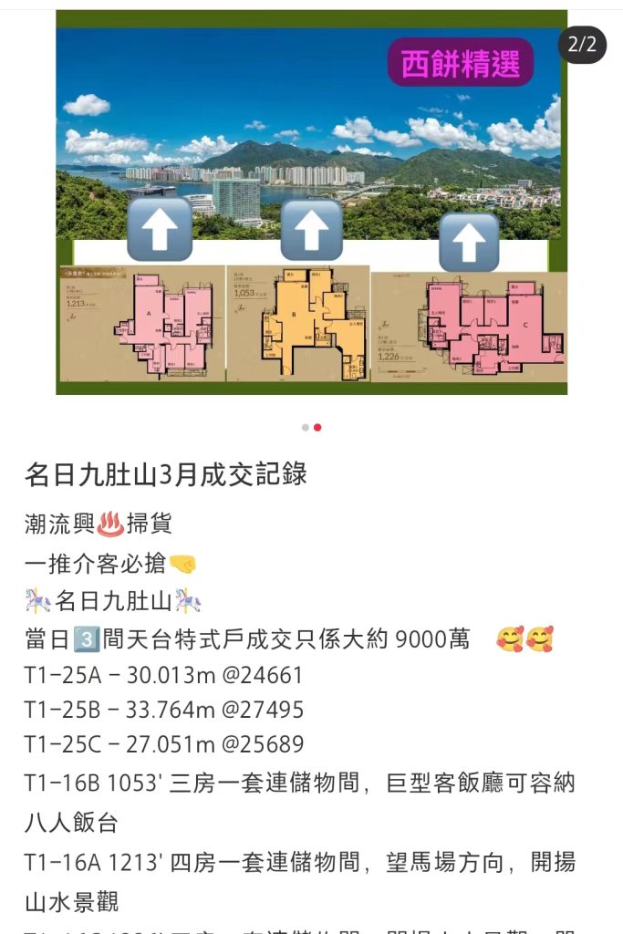 香港一手新楼盘名日九肚山房价最高降价32% 第7张- 香港名日九肚山楼盘实景 (5)