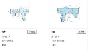 香港港岛东半山峻誉渣甸山户型图  第3张