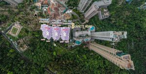 波老道21号英文名为21 Borrett Road平面图