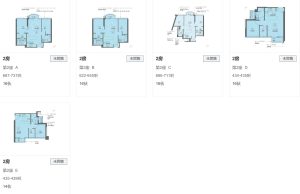 香港港岛东半山峻誉渣甸山户型图  第2张