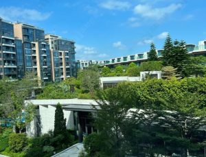 香港云海别墅小区环境