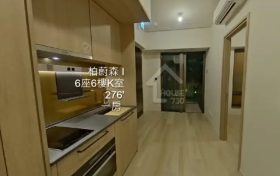 柏蔚森1期vr