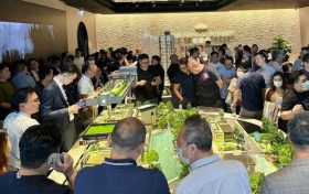 香港启德全新楼盘柏蔚森以低价策略开价