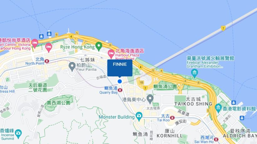 港岛区的全新楼盘FINNIE(芬尼街9号)|满足您的生活所需