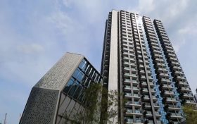 沙田区新楼盘火炭星凯堤岸租盘需求持续强劲