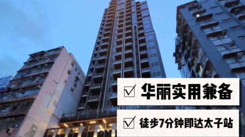 [加推]－喜‧扬刚加推3号价单