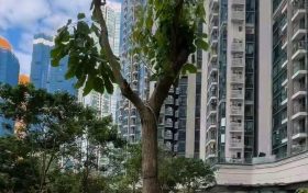 香港房产网消息:日出康城二手房OCEAN MARINI两房以830万成交