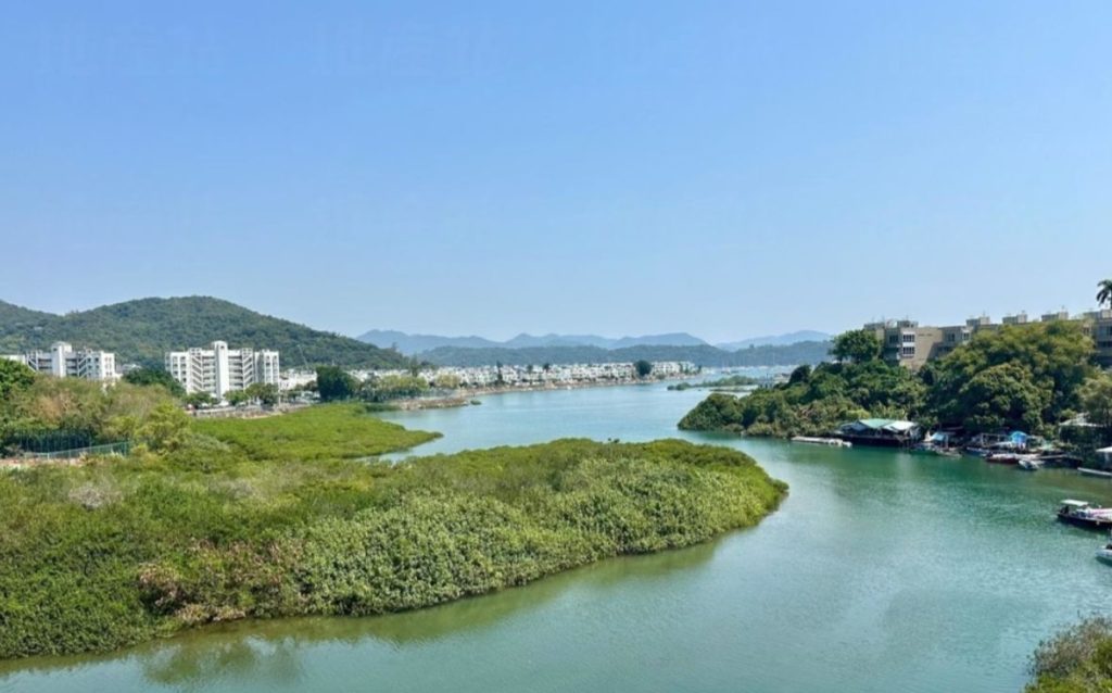 香港新楼盘Whitesand Cove坐落于西贡白沙湾临海地段项目采用低密度设计 第8张- Whitesand Cove窗外的红树林景