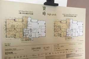 宝峰超大面积户型设计