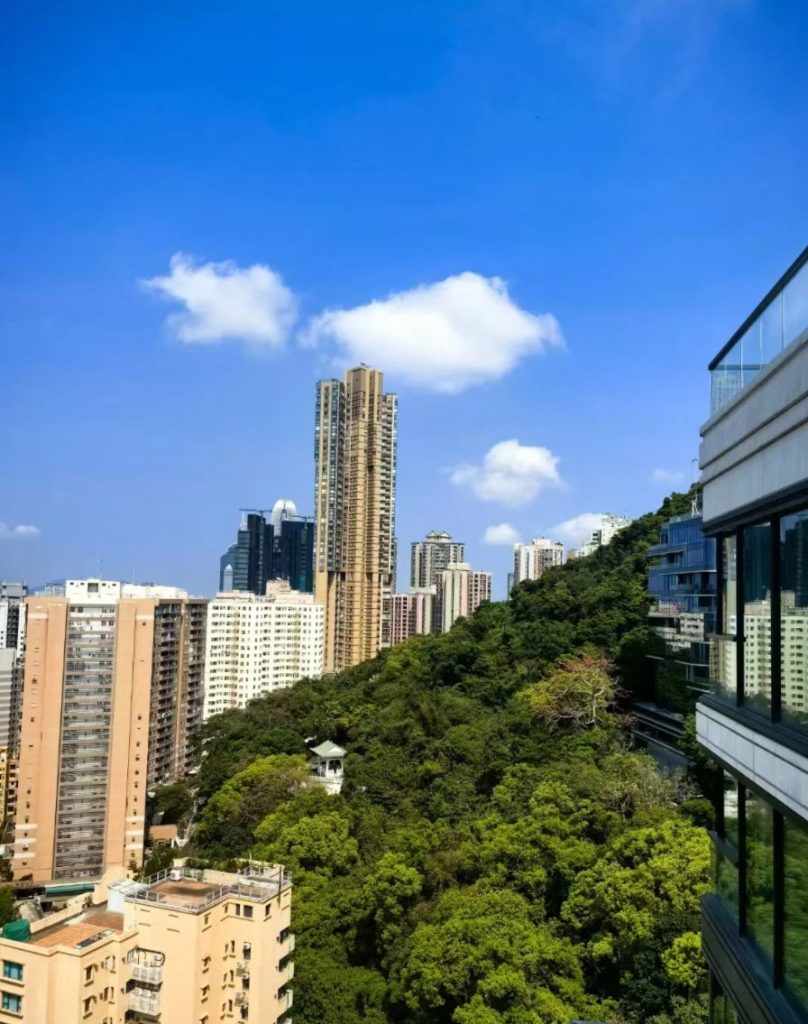 香港港岛西半山宝峰超大平面，面积4143平方尺招标发售  第2张