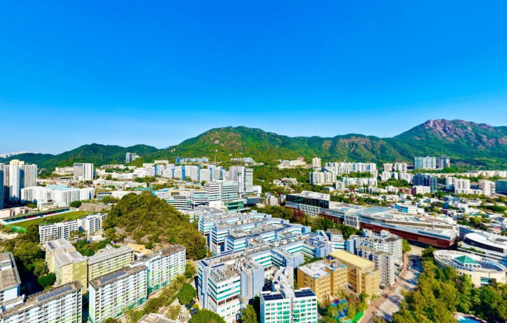 香港房产:九龙塘滶蕴:低密度豪宅典范,名校网核心新盘 第4张- 远眺狮子山